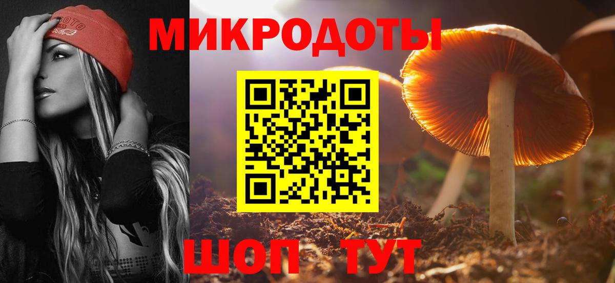 Псилоцибиновые грибы мухоморы Фрязино