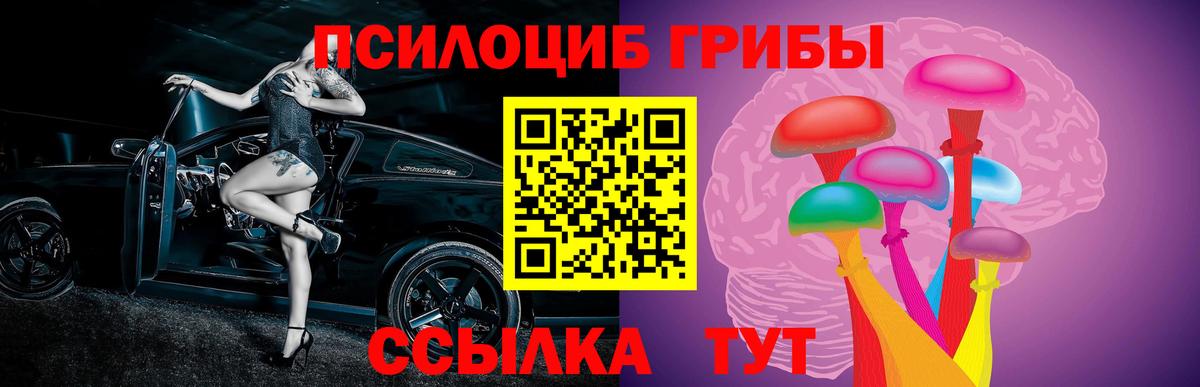 Фрязино  Псилоцибиновые грибы MAGIC MUSHROOMS  Вход с VPN 